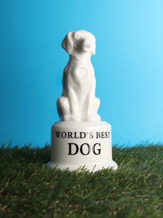 Dog Trophy
