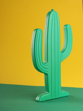 Ice Pack - Cactus