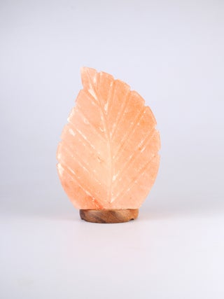 Salt Lamp Leaf Shape